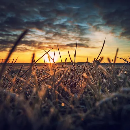 Hannes Huus Σπίτι διακοπών Spiekeroog